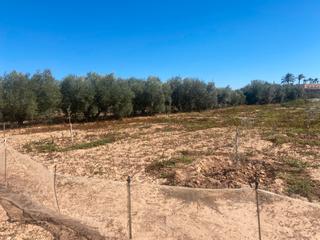 Finca rstica en La Magdalena - Molinos Marfagones. Venta de terreno zona circuito velocidad cartagena