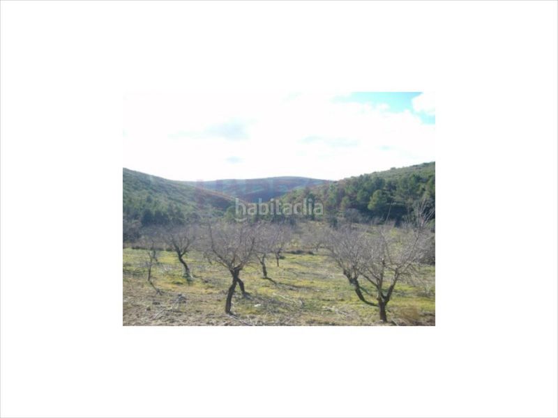 Foto 40ee55ff-23d4-47cb-b823-87b7d9252fae. Finca rústica a Riba - roja de Túria