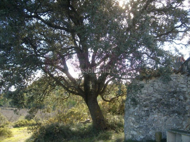 Foto 5b774a56-4c37-445a-9dca-e4b7bbd465bc. Finca rústica a Riba - roja de Túria