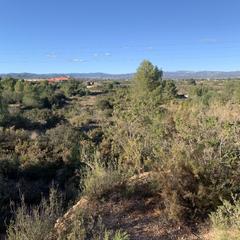 Residential Plot in Santa Bárbara. Se vende una parcela de 14.000 m2 cerca de lliria terreno rústic