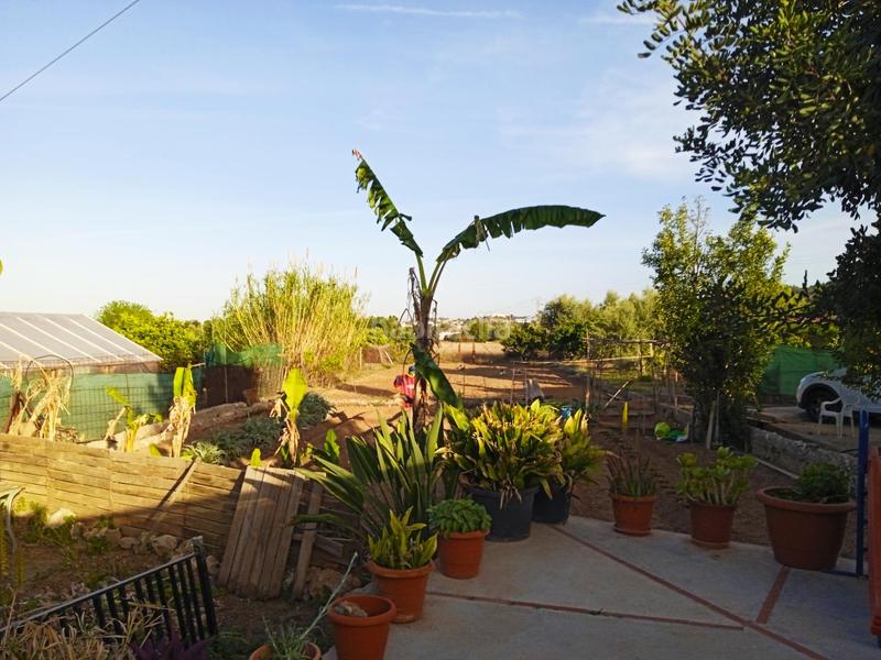 Foto c2583dbd-d19d-4fd1-a039-a3b3c6634e56. Casa se vende casa de campo cerca del pueblo de ribaroja.dispone de 2 habitaciones y 1 bañoademas tambien dispone de nave auxiliar.1300 en Vilamarxant