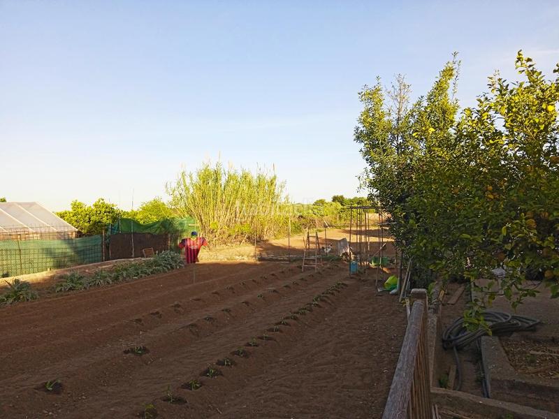 Foto f7bca252-b3dd-4709-b061-c56159ce50cd. Casa se vende casa de campo cerca del pueblo de ribaroja.dispone de 2 habitaciones y 1 bañoademas tambien dispone de nave auxiliar.1300 en Vilamarxant
