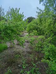 Piso en Urbanizaciones. Se vende parcela urbana en urbanización els pinars, lista para c