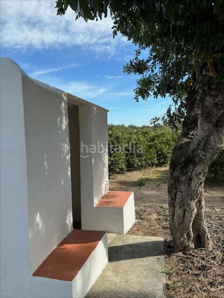 Foto d3eeeb7e-f862-44e1-a440-df6473cce57d. Casa a Riba - roja de Túria