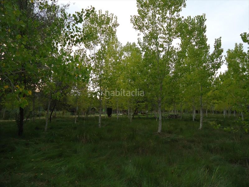 Foto c17b327e-81ff-4200-856e-75e57cbdf58d. Casa a Riba - roja de Túria