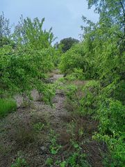 Terreny residencial a Urbanizaciones. Parcela urbana en casinos, urbanización els pinars 1583m2 precio