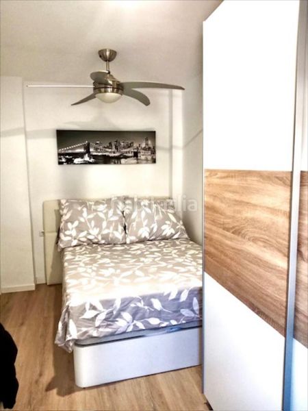 Foto 516af97b-f5cc-4d12-8824-09b8d1c5f90e. Pis a Pedralba