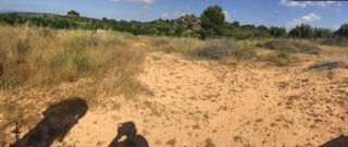 Fondo rustico in Riba - roja de Túria. Se vende suelo urbanizable pendiente desarrollo.