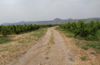Finca rústica  Lv-7045