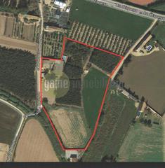 Masia  Carrer de la creu roquinyola. Casa rural con 20.000 m2 de terreno.