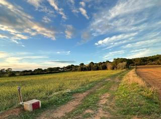 Finca rústica  Paratge ros. En venta terreno en llafranc