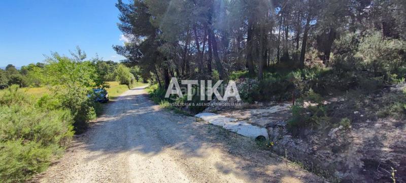 Foto 26d33986-3e01-4af1-bf71-b156f4846549. Xalet a Centro Ontinyent