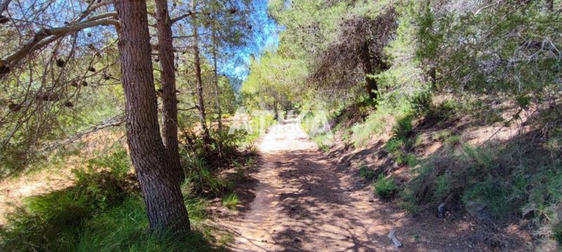 Foto 2ef793cf-c8a2-481e-a24f-c2fe77fdfed1. Xalet a Centro Ontinyent