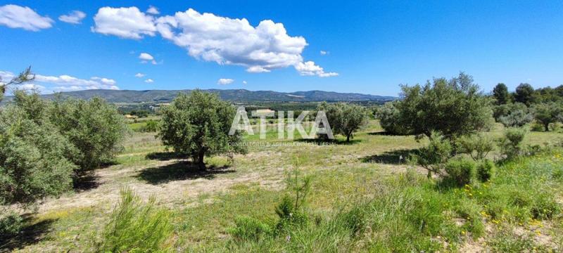 Foto 41ca9eac-929e-4ec2-9a3c-8b9c4459983b. Xalet a Centro Ontinyent