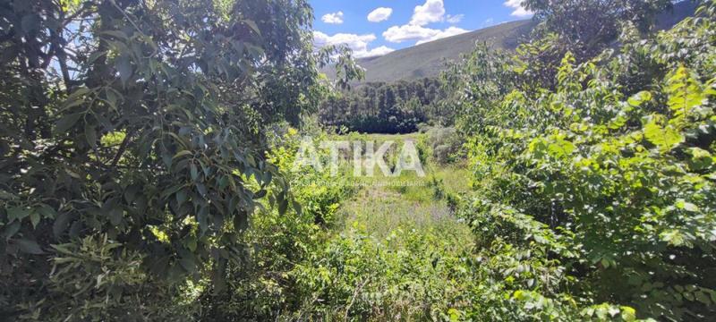 Foto a56873dd-eb21-4435-9d43-87064192350a. Xalet a Centro Ontinyent