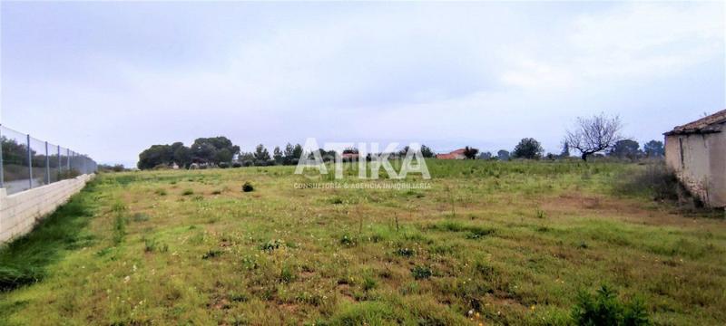 Foto c844304e-1c01-4813-b717-62bb8ec59ec7. Fondo rustico in Centro Ontinyent