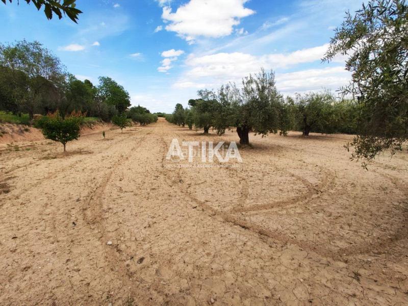 Foto 417b0f80-ed0f-4910-8ca2-00ed0d149e70. Chalet casa de campo muy cerca del casco urbano en Ontinyent