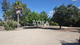 Lloguer Casa a El Pilar. Casa de campo para alquiler