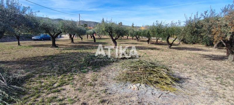 Foto 1b53b83a-15f3-4177-bc43-58468ba33c02. Chalet dans Centro Ontinyent