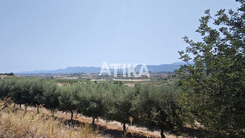 Foto 363c7170-5203-442e-9e57-b39cbda6dd0a. Masía  para reformar en ontinyent en Agullent