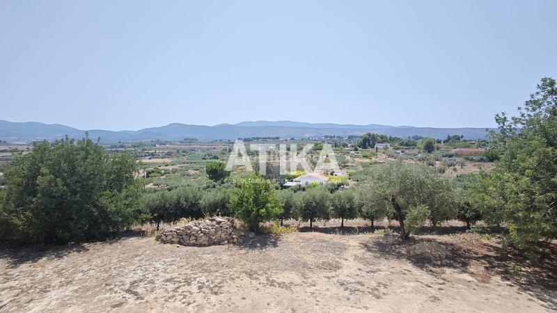 Foto c48b4894-f51a-4842-a378-9eec8c80c499. Masía  para reformar en ontinyent en Agullent