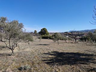Rural plot in Centro. Parcela rústica lista para construir tu futuro chalet  piscina