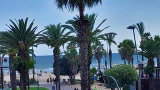 Piso en Platja de Llevant. Piso en venta en paseo jaime i con vistas mar