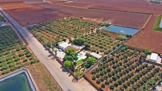 Chalet  Calle reyes - ds algar. Se vende  finca de regadio con 30.000 m2 con una vivienda, pisci