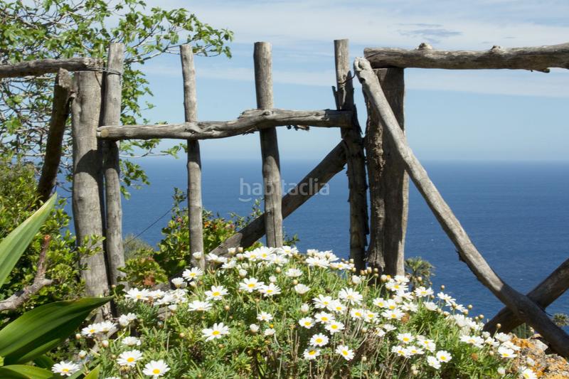 Foto eb3ca57c-02c4-4974-a2c9-d42c56fe524c. Masia a Banyalbufar