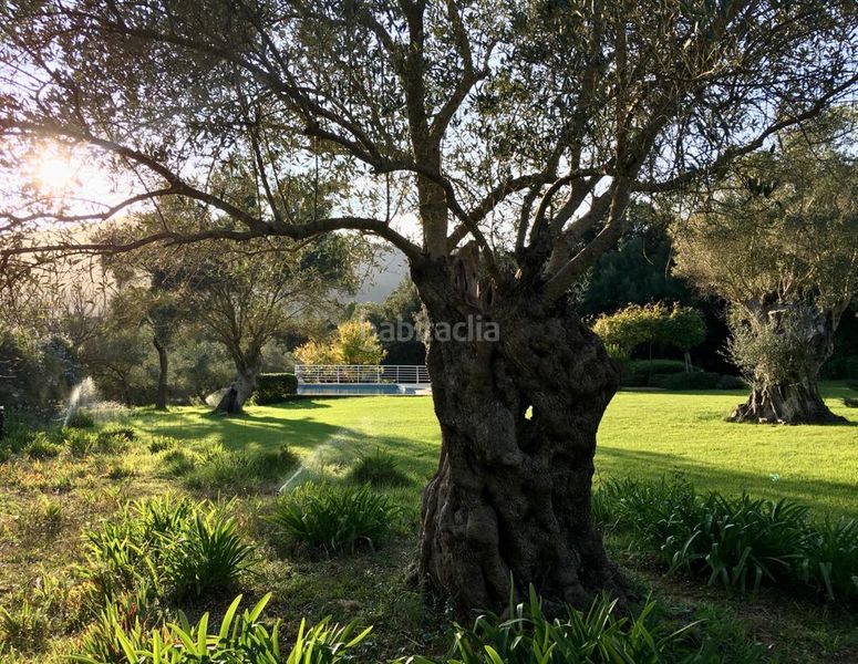 Foto 35cab0a0-22fa-4f3c-81f5-58b42fd9ba16. Finca rústica a Esporles