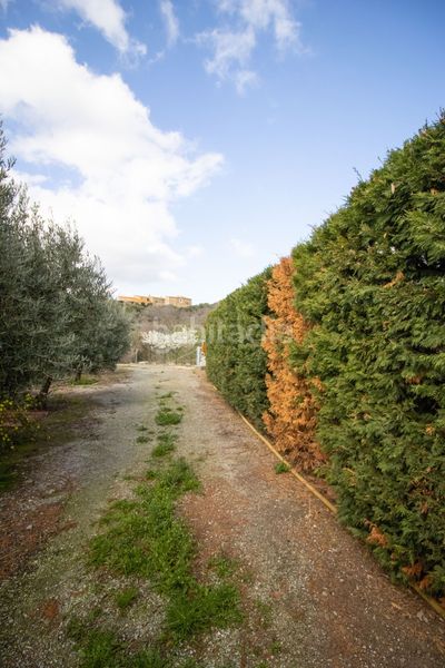 Foto 2e039bd9-beaa-455e-a377-58a03100a167. Finca rústica a Sant Climent Sescebes