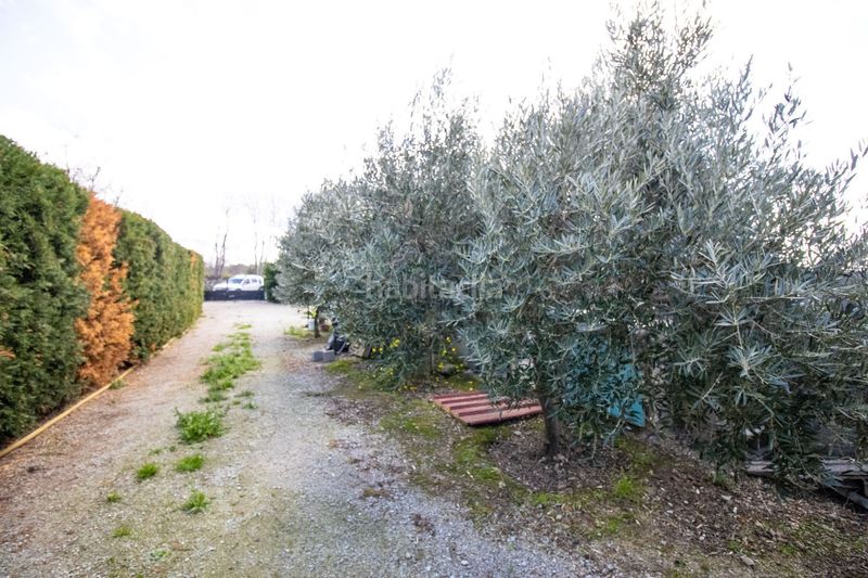 Foto 404f77bd-deb1-4a5b-aab8-e1bfc3380d69. Finca rústica a Sant Climent Sescebes