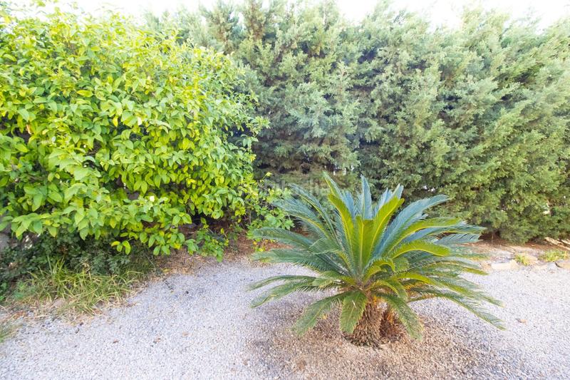 Foto 15001e22-360b-45fe-bd6b-e005de0c74e3. Haus mit heizung pool in Nord Roses