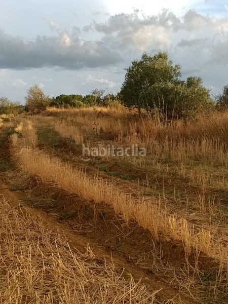 Foto 5bfc4314-4ea1-4753-a4f1-021d51472094. Finca rústica a Sant Climent Sescebes