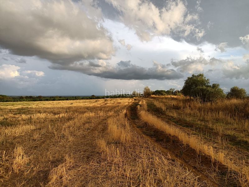 Foto 700b1f5a-d680-4cbd-9672-831850d8b094. Finca rústica a Sant Climent Sescebes
