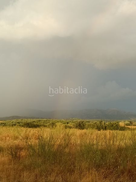 Foto 997c7f65-2ec5-4a2c-8a63-5421c09a31d8. Finca rústica a Sant Climent Sescebes