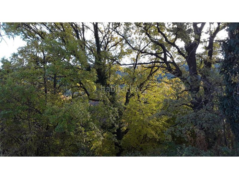 Foto fb534ee8-b947-4846-ba0d-5372d345f392. Masía masia en venta en Vallcebre
