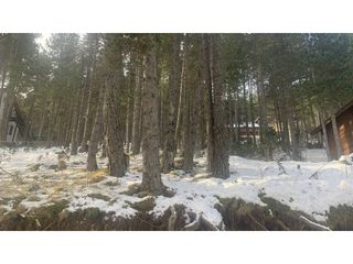 Terreno residenziale  Picapinyes