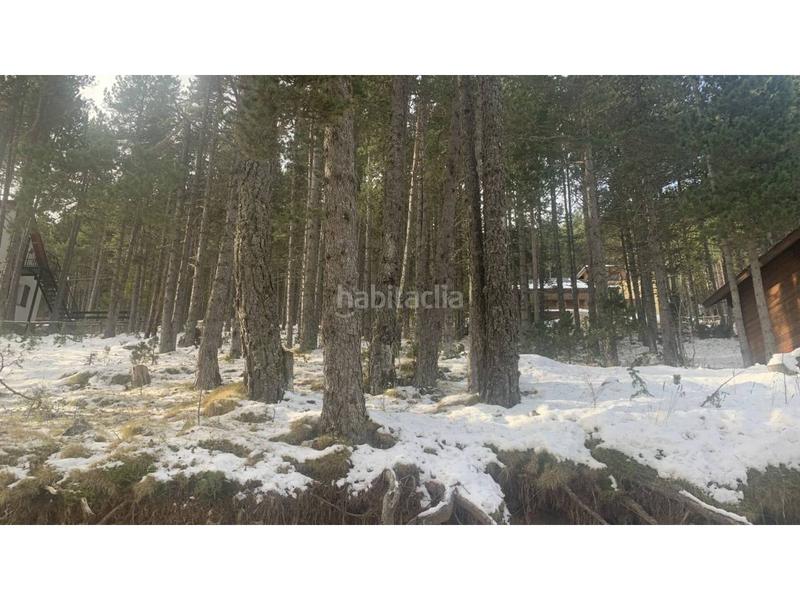 Foto 72672af0-4a72-4017-beab-c9ae24737d3f. Wohngrundstück in Coma i la Pedra (La)