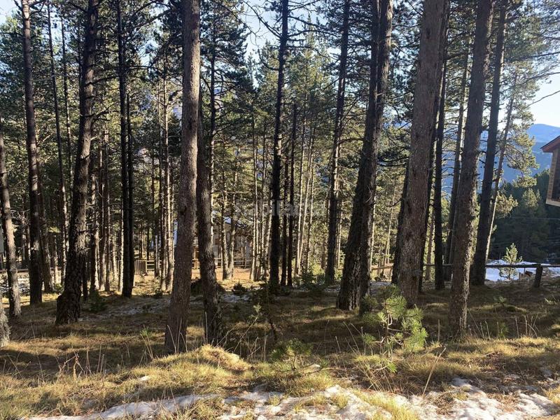 Foto 9a989572-b8c2-4310-85b4-d651ab7899bc. Wohngrundstück in Coma i la Pedra (La)