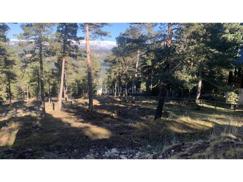 Foto e75e6b73-4910-4046-b744-8c69c920e336. Fondo rustico in Coma i la Pedra (La)