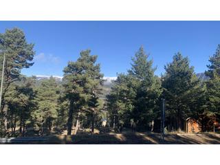 Finca rústica  De coll de jou. Venta parcela  en  el sector 3 gran oportunidad