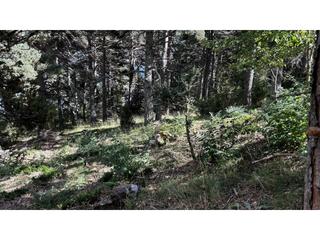 Finca rústica  Del sol. Terreno en venta en port del comte