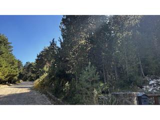 Finca rústica a Gat mesquer 4. Parcela en venta en el port del comte