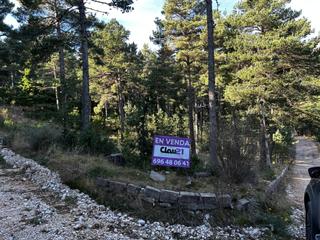 Finca rústica a Coma i la Pedra (La). Terreno en venta en la calle de las cardas