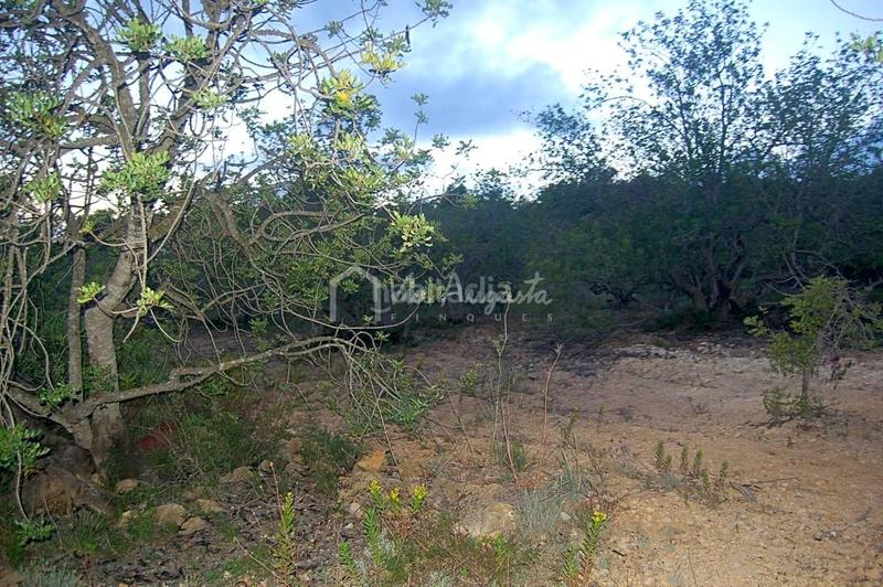 Foto b450a803-23f2-4b59-a3dd-fe7963fa4b95. Finca rústica a Perelló (El)