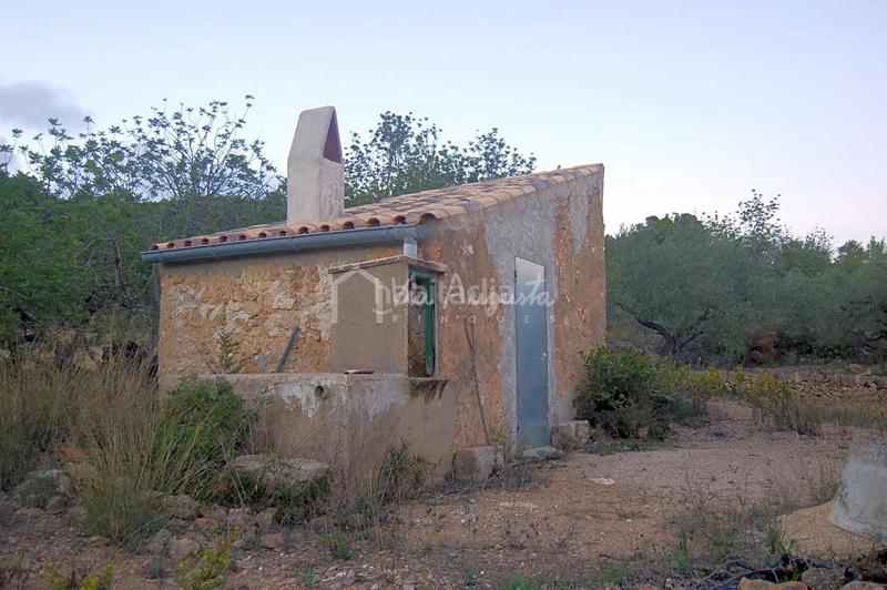 Foto bd5ae8aa-7b0e-42aa-8ac1-71e5b6958eb1. Finca rústica a Perelló (El)