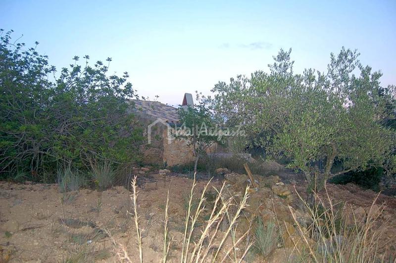 Foto d3909323-bcae-4fd9-a294-323ead19ca52. Finca rústica a Perelló (El)