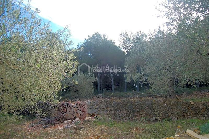 Foto 0c5d9e8c-a55b-4339-b813-e650500d9fa8. Finca rústica a Perelló (El)
