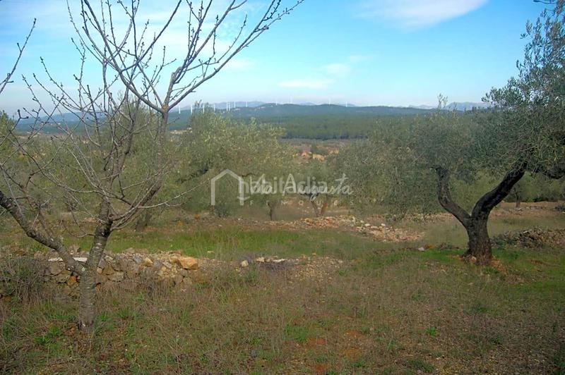 Foto 663a0357-abc4-441e-8336-b9990e734a7b. Finca rústica a Perelló (El)